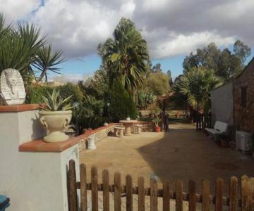 La Collina Delle Ginestre