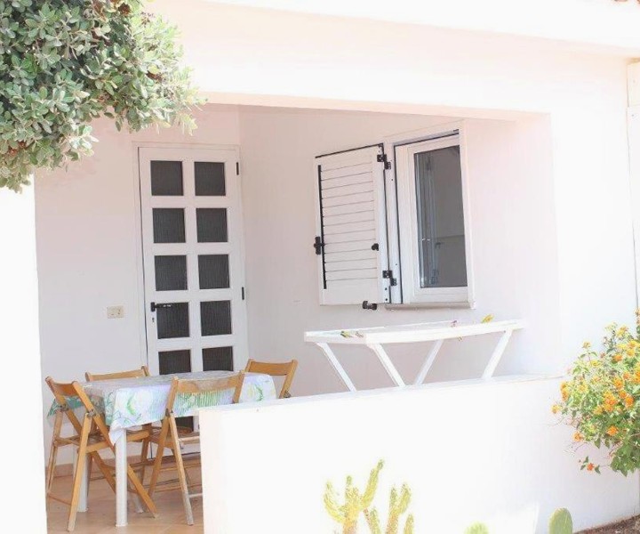 TELLINA PALMARE BEACH