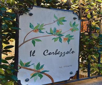 Il Corbezzolo