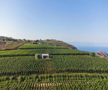Tenuta Di Castellaro Winery & Resort