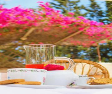 Villa Margherita Art And Music