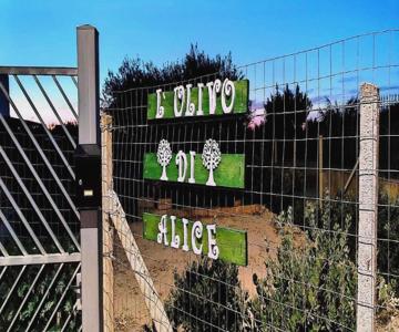 L'ulivo Di Alice