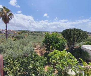L'araucaria Bnb