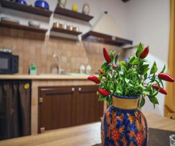 La Folkloressa Apartments