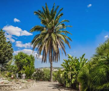 Villa Alessi - Dimora Storica