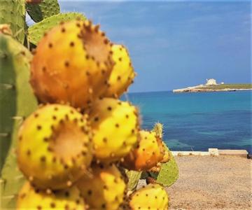 Cortile Davì In Ortigia