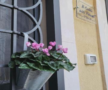 Il Cortile Della Patrona