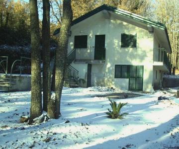 Castagneto dell'Etna