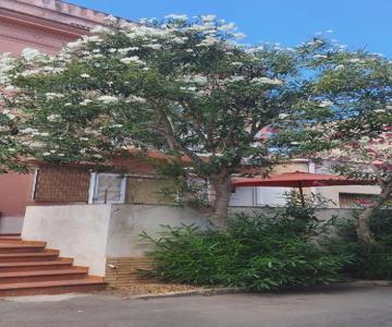 A 2 Passi Dalla Piazza