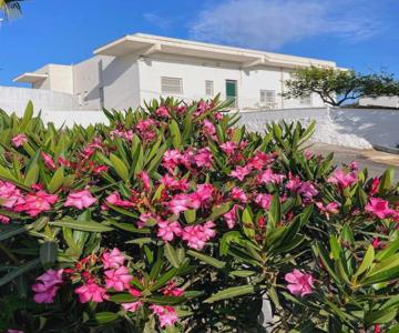 Loredana Affittacamere