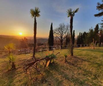Villa El Pavo Real Arezzo