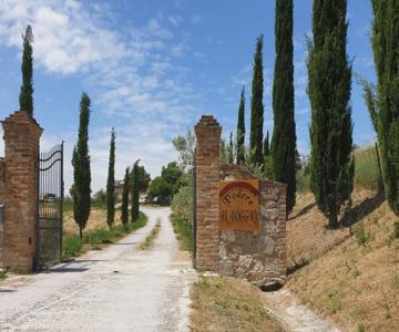 Podere Il Poggio