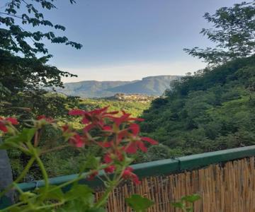 Appartamento Ai Domenichetti