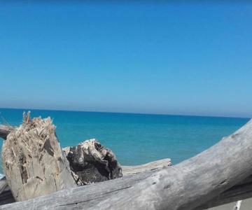 Casina al mare