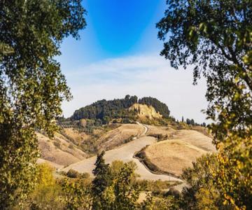 Appartamento In Casale Con Piscina Casa I Pavoni