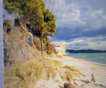 Hausemaremma 1 Camera