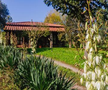 Villa Bel Giardino