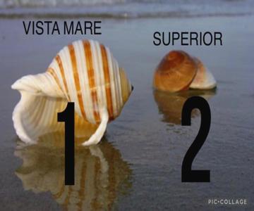 La Conchiglia A Marina