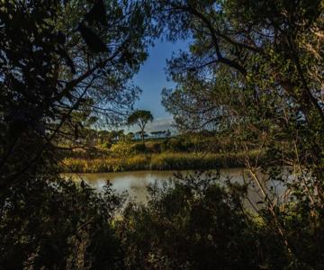 Il Sole Village Camping