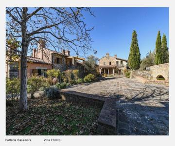 Fattoria Casamora