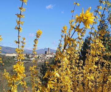 Greenview - Casavacanza