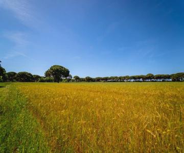 Agriturismo Bio La Femminella