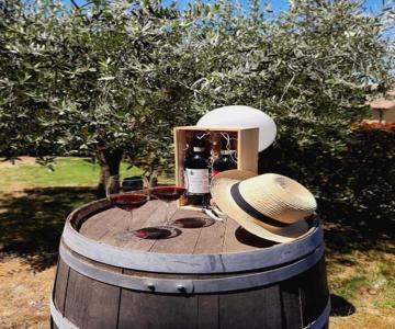 L'Olivo nel Chianti