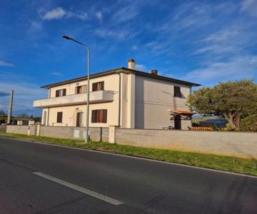 Rosignano Marittimo Rosa Bianca