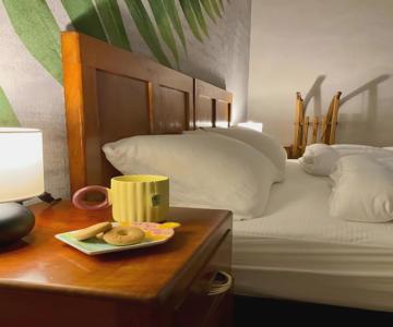 Edelweiss Alp Rooms