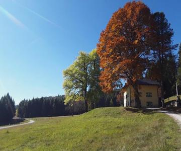 Chalet Musiera