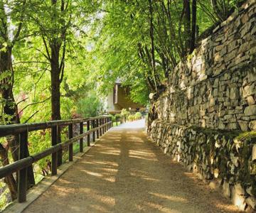 Il Sambuco Bed & Breakfast