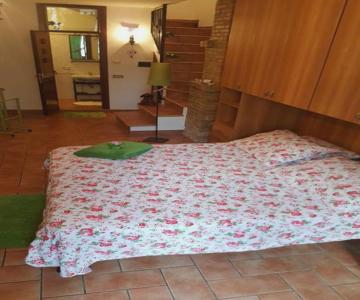 Monolocale L'anfiteatro Romano