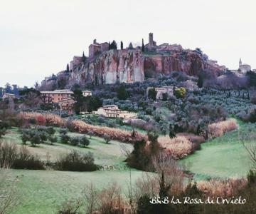 La Rosa Di Orvieto