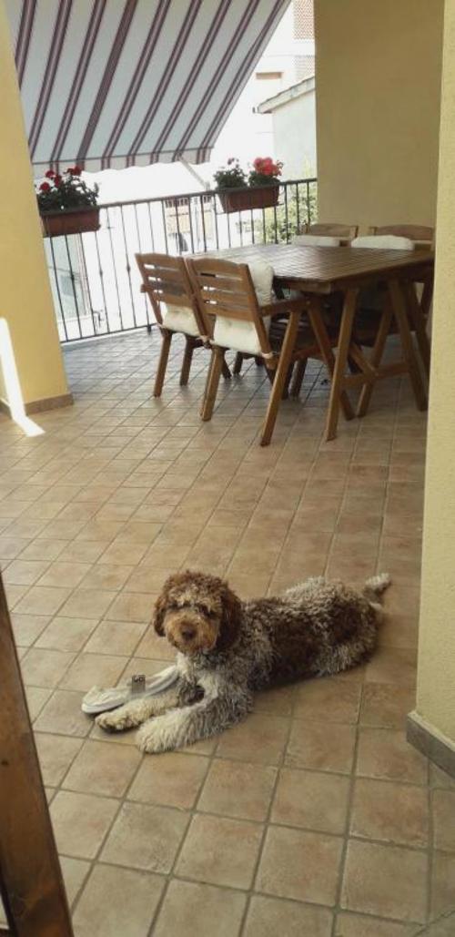 La Graziosa Dépendance