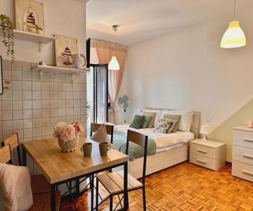 Spacious Studio Apartment With Terrace