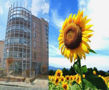 Casa Dei Girasoli