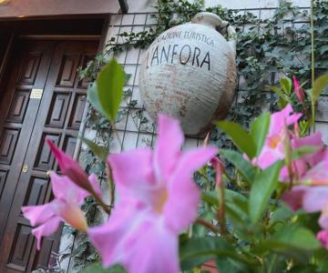 L' Anfora Locazione Turistica