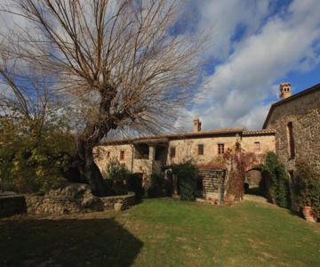 Antico Gelso