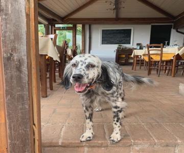 Setterhouseagrihotel