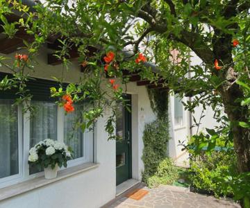 Le Gardenie Di Tito