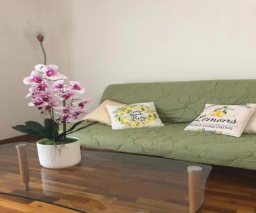 Appartamento Orchidea