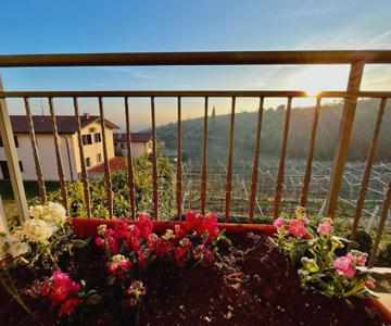 il Vigneto Apartment