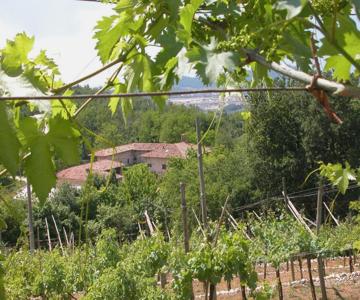 Ca Verde Agriturismo