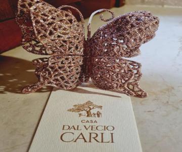 Dal Vecio Carli