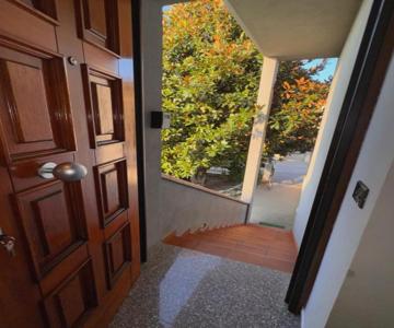 Sweet Charm In Venice