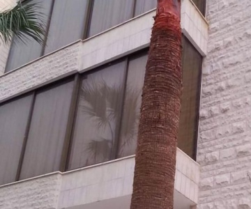 Renad Hotel