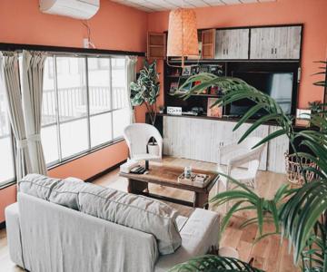 Tipy Records Inn House
