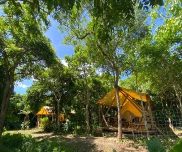 Rainbow Forest Permaculture Field