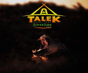 Talek Bush Camp