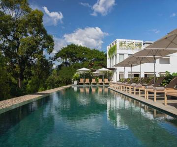 Treeline Urban Resort